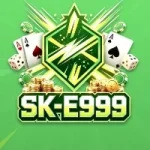 E999 Game